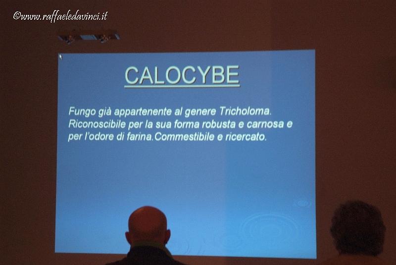 I Mostra Micologica Solarino 21NOV08 (50).jpg